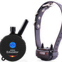ET-300 Mini Educator E-Collar