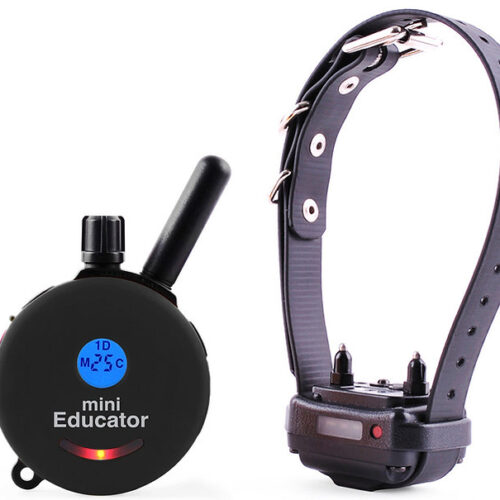 ET-300 Mini Educator E-Collar