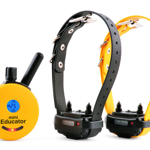 ET-302 Mini Educator (2-Dog System)