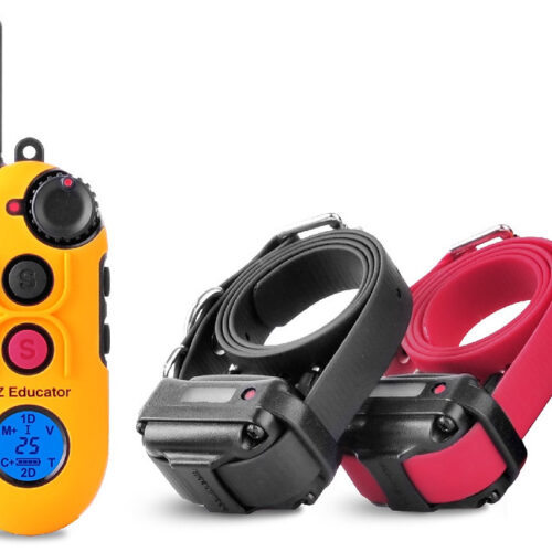 EZ-902 Easy Educator (2-Dog System)